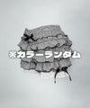 サンプルセール